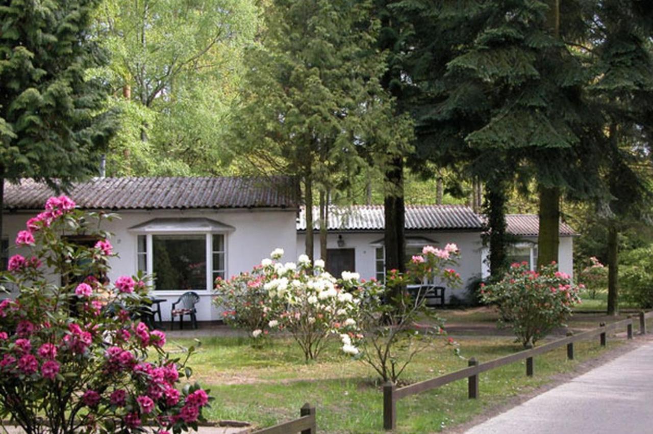 Meeressterne Ferienresort Damerow Koserow Екстер'єр фото