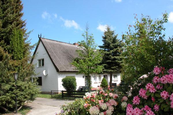 Meeressterne Ferienresort Damerow Koserow Екстер'єр фото